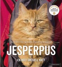 Jesperpus  - en helt spesiell katt